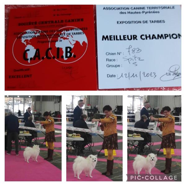 3985863343522911774679493546939273959165215n