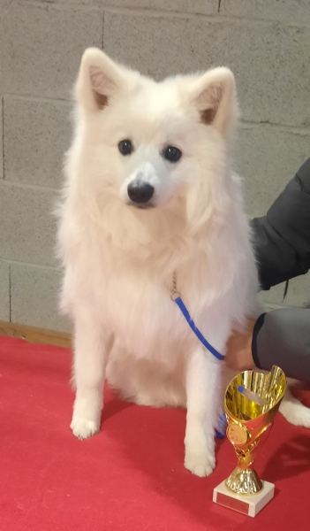 586543727874466171917111876851090026447290n