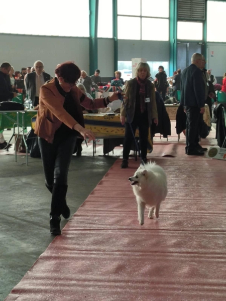 5960051788849167775387176786188696016312902n