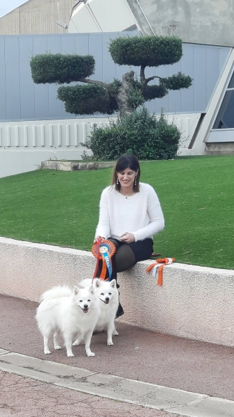 6176185819196764707294147771808001340091871n