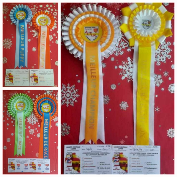 6178634569196773807293237595789786899364563n