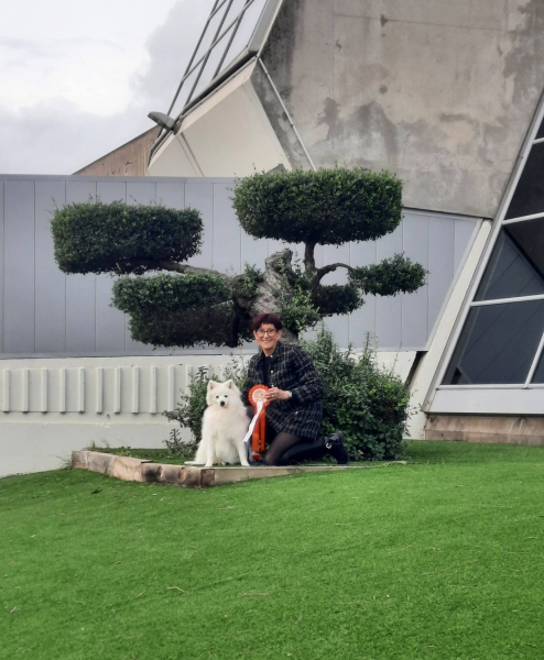 6185693799196762707294348106073933120777252n