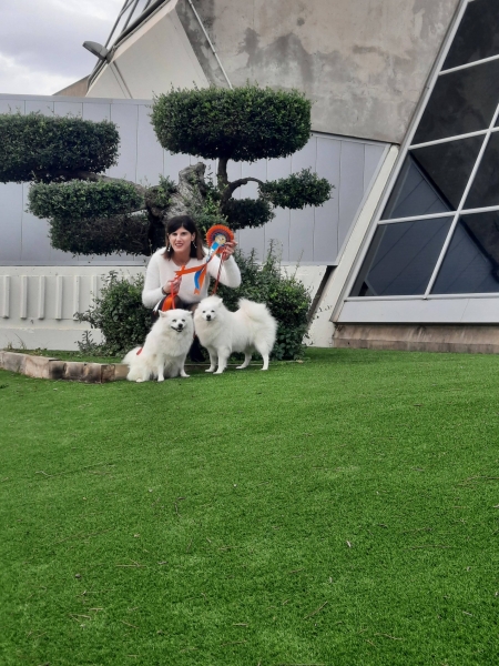 6186129979196764073960875554197288969151175n