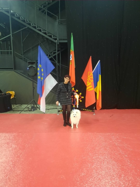 6187131489196765307294087446596715840487949n