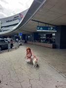 535999436795405446489851809684223068423596n