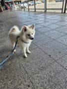 5362720037954054864898476205031898621301791n